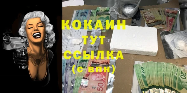 спиды Горняк
