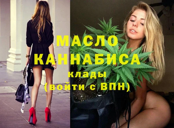 спиды Горняк