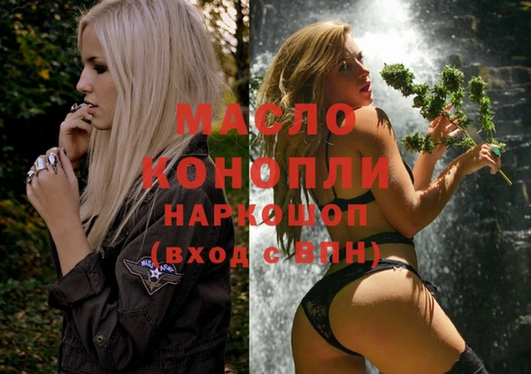 спиды Горняк