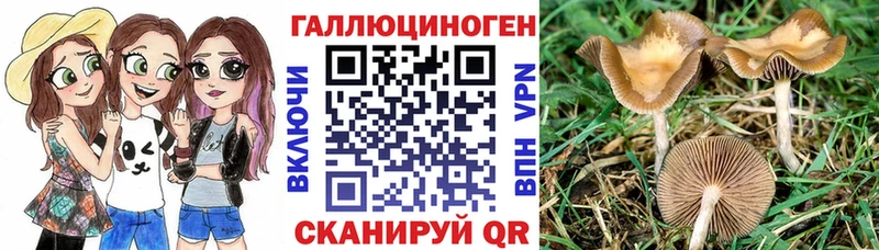 купить наркотики сайты  Дивногорск  Псилоцибиновые грибы MAGIC MUSHROOMS 
